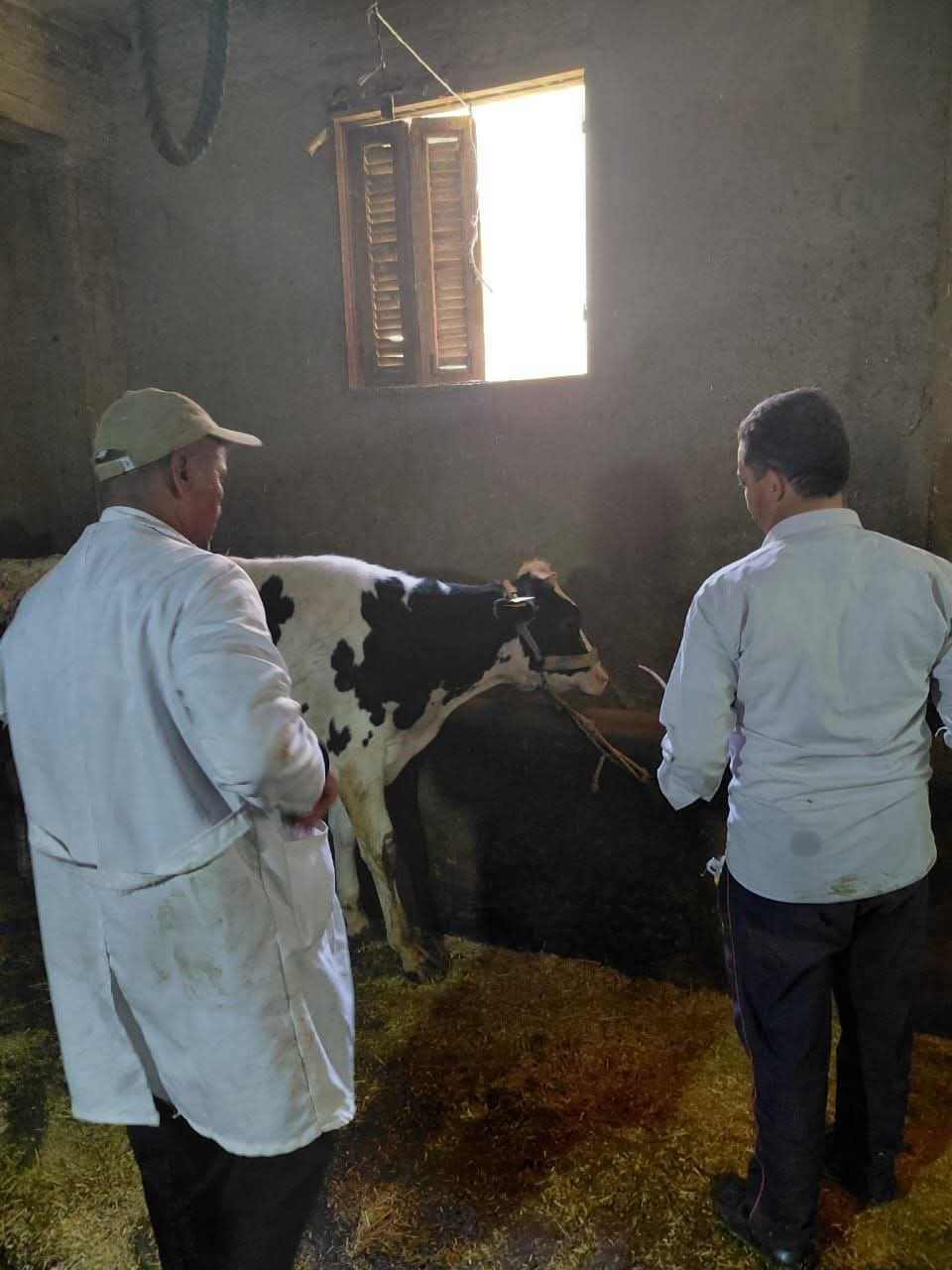 الحملة القومية الثالثة للتحصين ضد الحمى القلاعية وحمى الوادي المتصدع بالبحيرة