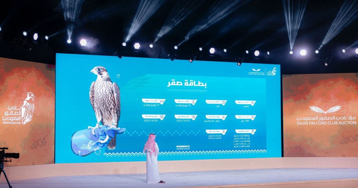 بيع أغلى شاهين فرخ حتى الآن لمزاد نادي الصقور السعودي 2025
