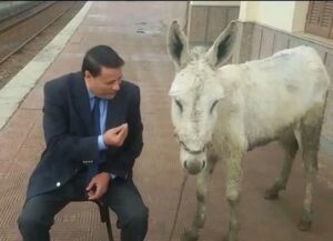 افهم يا حمار