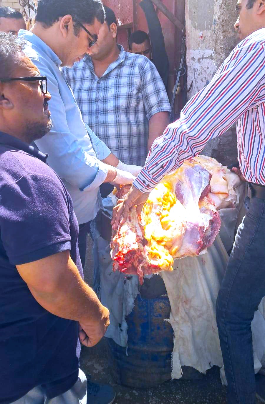 ضبط 197 كيلو لحوم وأسماك غير صالحة للاستهلاك الآدمي