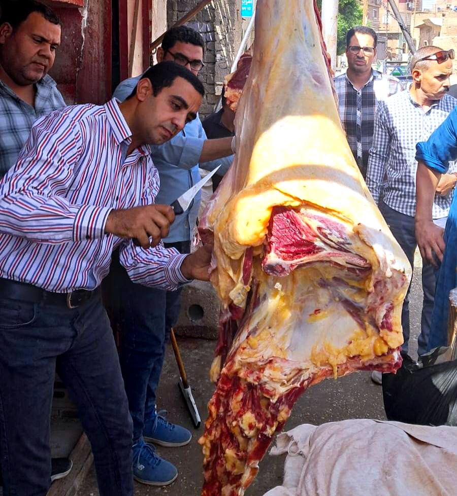 ضبط 197 كيلو لحوم وأسماك غير صالحة للاستهلاك الآدمي