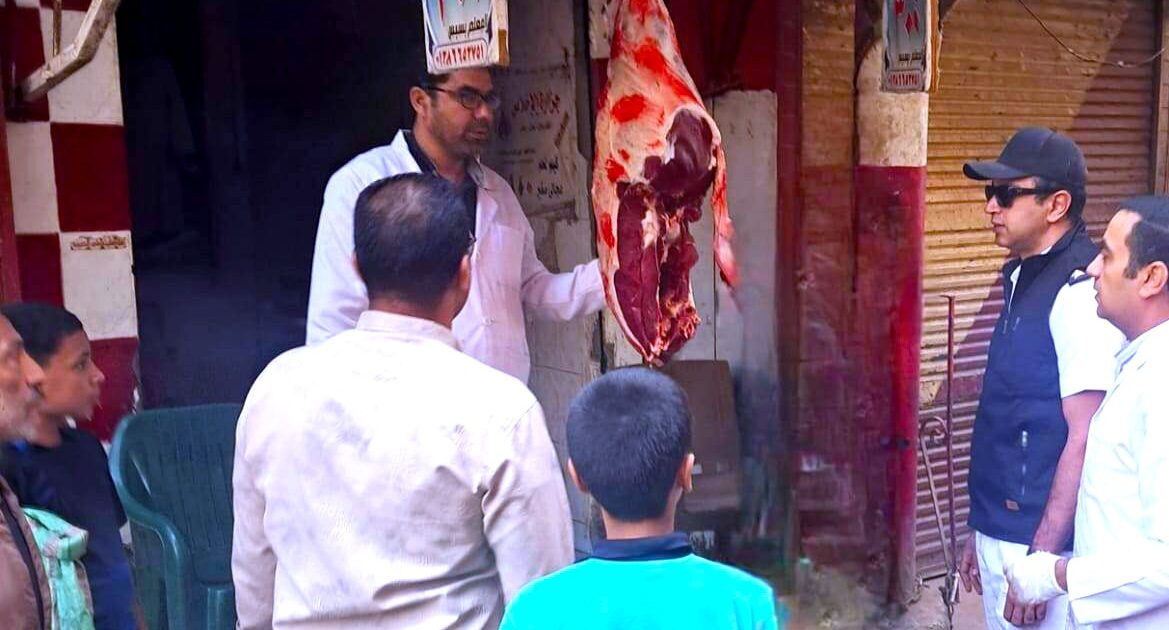 ضبط 197 كيلو لحوم وأسماك غير صالحة للاستهلاك الآدمي