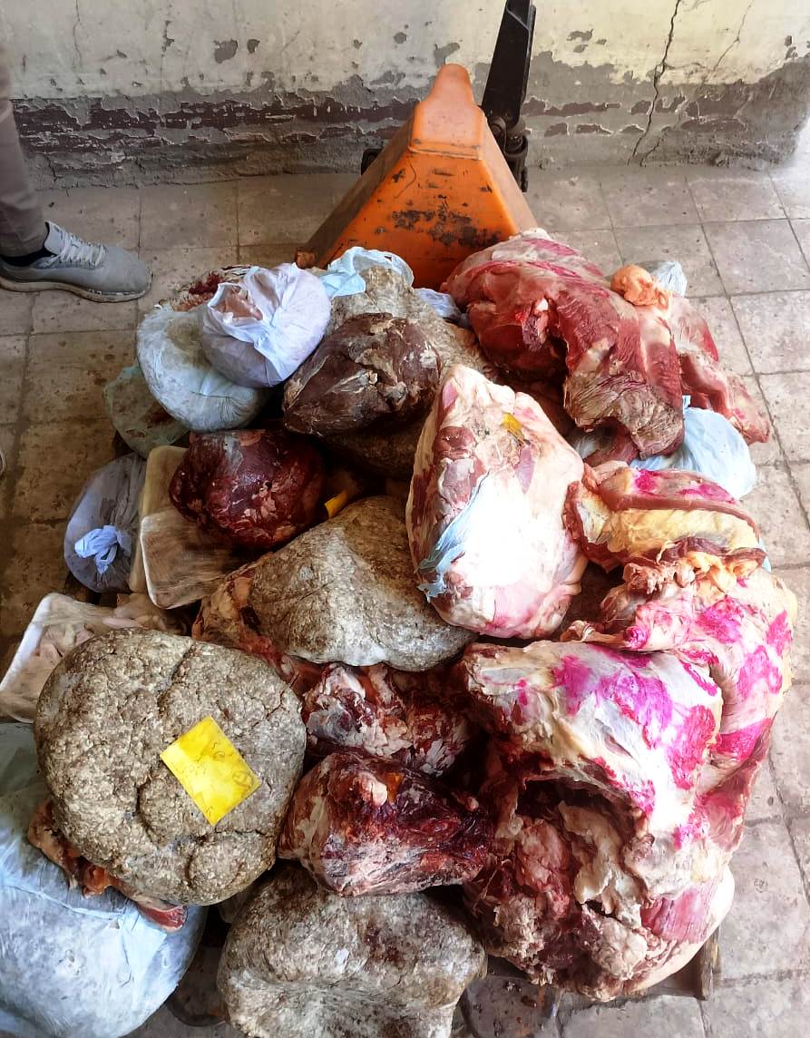 حملات مكثفة للطب البيطري لضمان سلامة اللحوم وصحة المواطنين