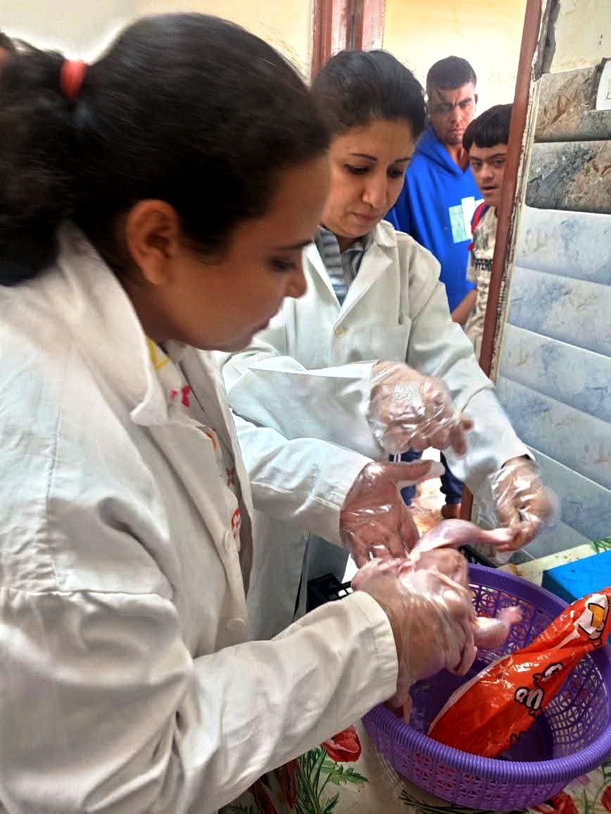 حملات مكثفة للطب البيطري لضمان سلامة اللحوم وصحة المواطنين