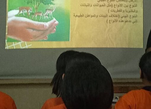 محافظ الإسماعيلية يتابع جهود إدارة شئون البيئة في تنظيم فعاليات بيئية لطلبة المدارس بالمراحل المختلفة
