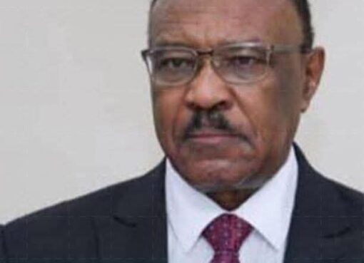 وزير الخارجية السودانى: الرئيس السيسى يقود المنطقة برؤية جديدة تعيد التوازن للقارة