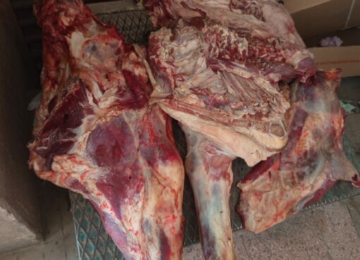 بالصور..”بيطري الأقصر “يضبط لحوم غير صالحة للاستهلاك الآدمي بحنلة موسعه