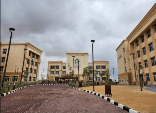 القيادة السياسية.. منظومة التعليم العالي تشهد طفرة غير مسبوقة بسيناء ومدن القناة