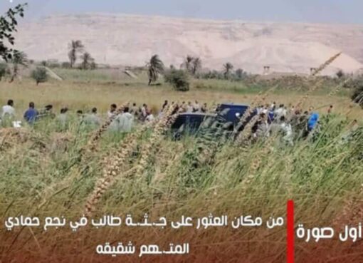 ​شاب يدمن "الشابو" يقتل شقيقه بـ "الذبح" في قنا