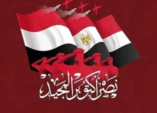 “الأسود الشرسة” بقلم محمود عبد الظاهر