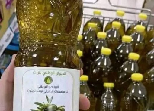 تونس وموسم الزيتون بين فرحة المستهلك وقلق الفلاح