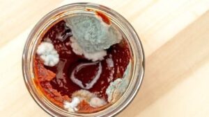 خطأ شائع يرتكبه الكثيرون.. احذروا استخدام معجون الطماطم بعد ظهور العفن!