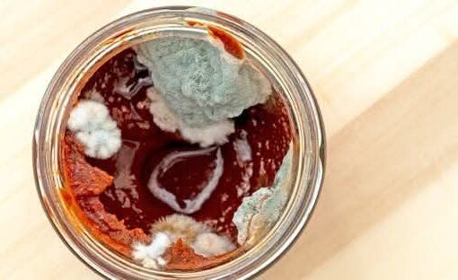 خطأ شائع يرتكبه الكثيرون.. احذروا استخدام معجون الطماطم بعد ظهور العفن!