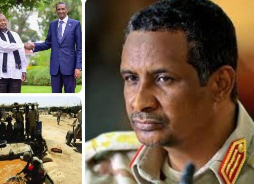 علاقة الإمارات العربية المتحدة بـ محمد حمدان دقلو (حمد / «همِدتي»)