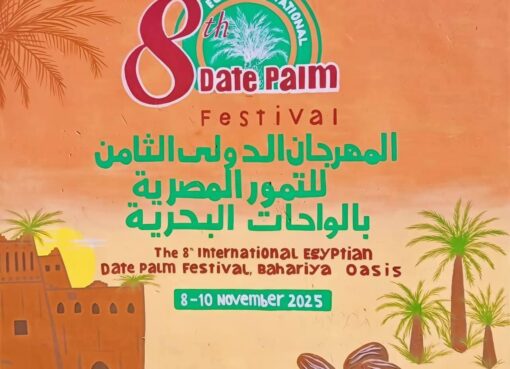 الجيزة تستعد لانطلاق المهرجان الدولي الثامن للتمور بالواحات البحرية بمشاركة عربية وعالمية واسعة