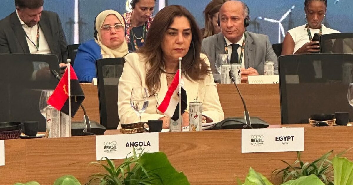 وزيرة التنمية المحلية والقائم بأعمال وزير البيئة تشارك فى حوار المائدة المستديرة حول التحول فى مجال الطاقة