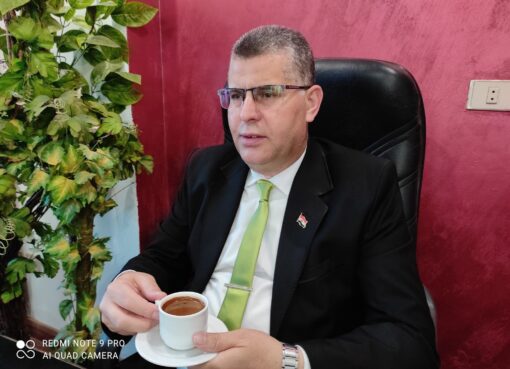 قصة بداية نسيج شبكة العنكبوت