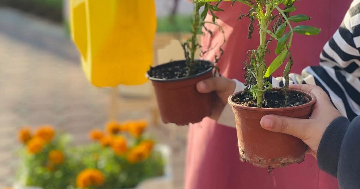 تعليم الطائف يشارك في فعاليات موسم التشجير الوطني 2025م