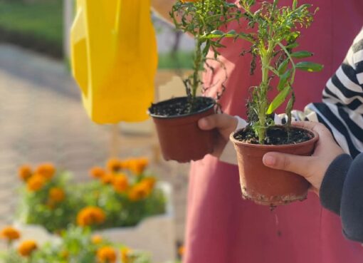 تعليم الطائف يشارك في فعاليات موسم التشجير الوطني 2025م