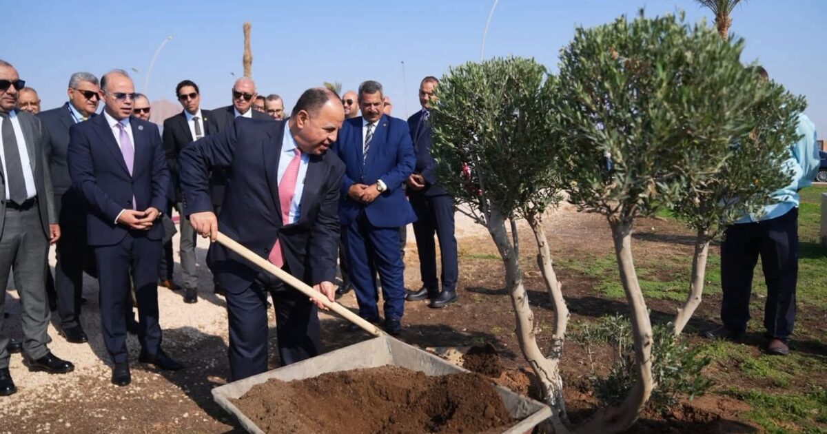 رئيس هيئة الرقابة المالية وقيادات التأمين يزرعون أشجارًا لخفض الانبعاثات الكربونية