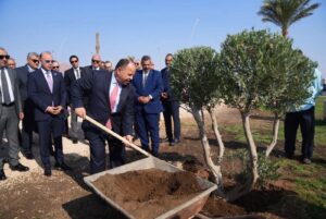 رئيس هيئة الرقابة المالية وقيادات التأمين يزرعون أشجارًا لخفض الانبعاثات الكربونية