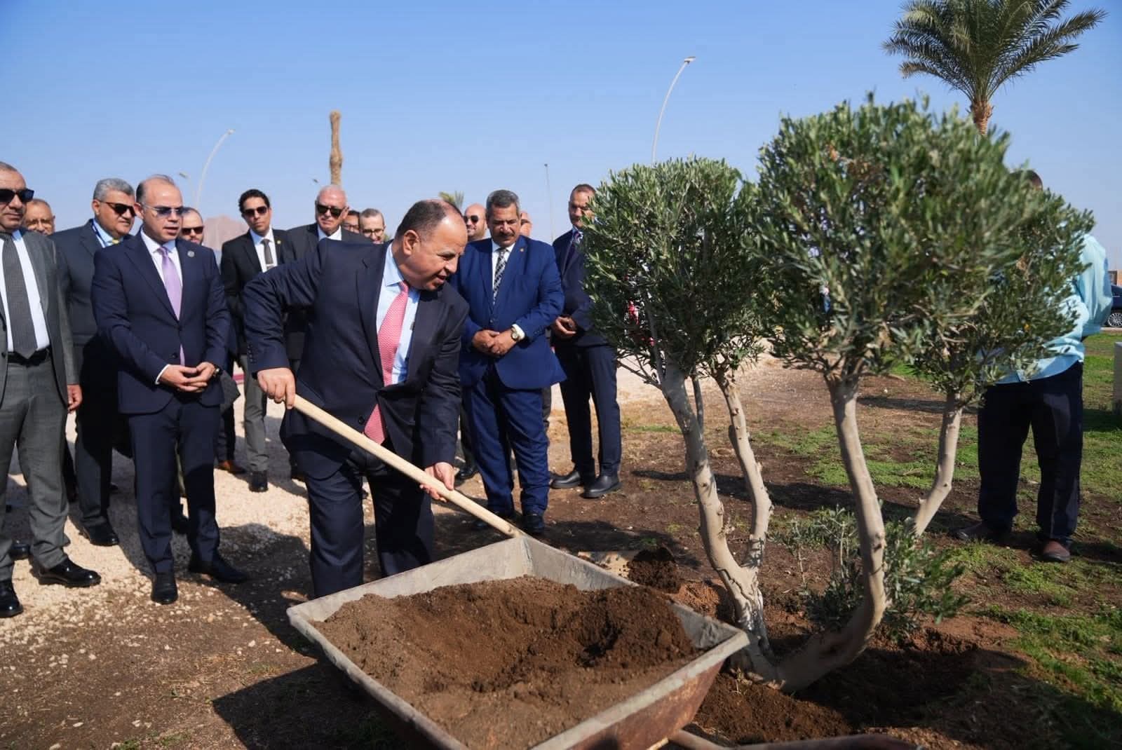 رئيس هيئة الرقابة المالية وقيادات التأمين يزرعون أشجارًا لخفض الانبعاثات الكربونية