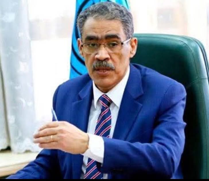 الإعلام الدولي: انتخابات مجلس النواب تجرى وسط شعور وطني جارف بالفخر