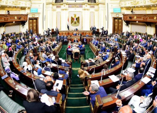 الاتحاد العام للجالية المصرية بفرنسا – مصر… وطنٌ يجمعنا ومسؤولية نصونها: الانتخابات البرلمانية بين الوعي والانتماء 