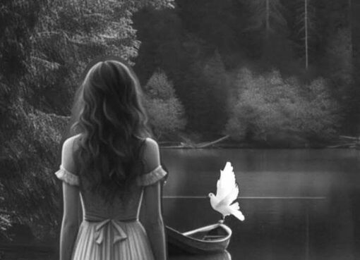 حين يبكي الليل من حكايات القلوب