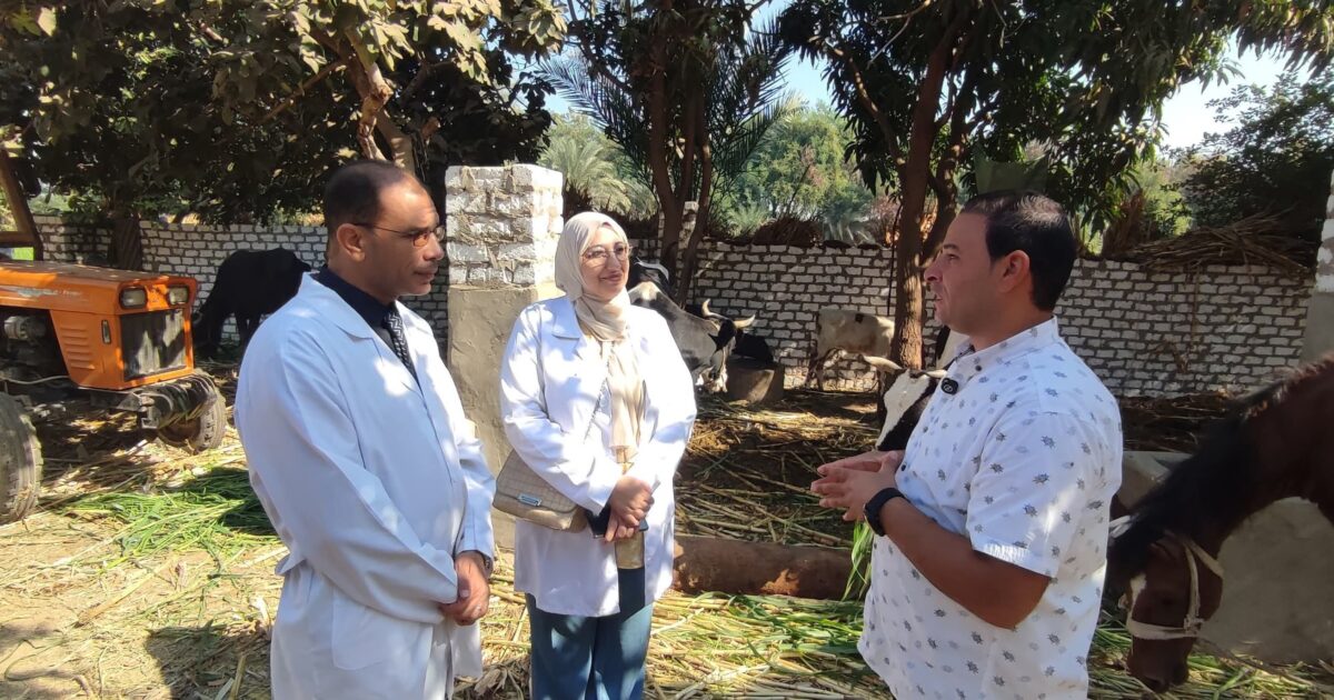 الطب البيطري بسوهاج يطلق قوافل لتحصين الماشية وحماية الثروة الحيوانية