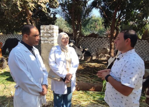 الطب البيطري بسوهاج يطلق قوافل لتحصين الماشية وحماية الثروة الحيوانية