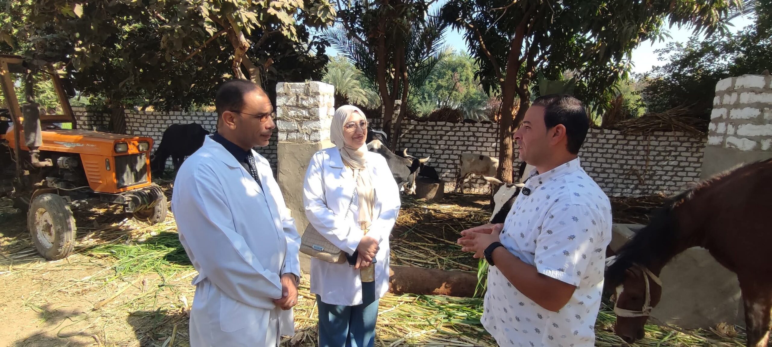 الطب البيطري بسوهاج يطلق قوافل لتحصين الماشية وحماية الثروة الحيوانية