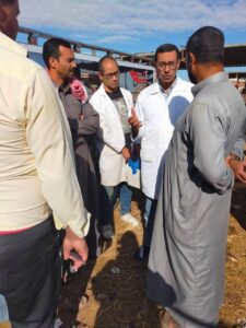 مديرية الطب البيطري بالسويس تكثف حملتها بأسواق الحيوانات الحية لمكافحة الأمراض الوبائية وتحصين الحيوانات