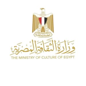 احمد فؤاد هنو يوجه بصرف تعويضات مالية عاجلة لضحايا حادث طريق إسنا من أبناء أسوان