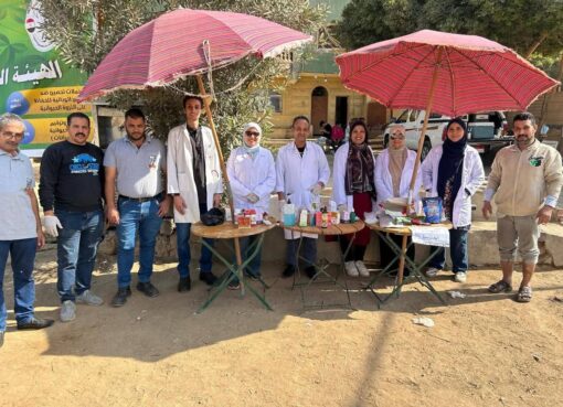 محافظة الجيزة تطلق قوافل بيطرية مجانية لرعاية الخيول والجمال بالمنطقة الأثرية الأهرامات