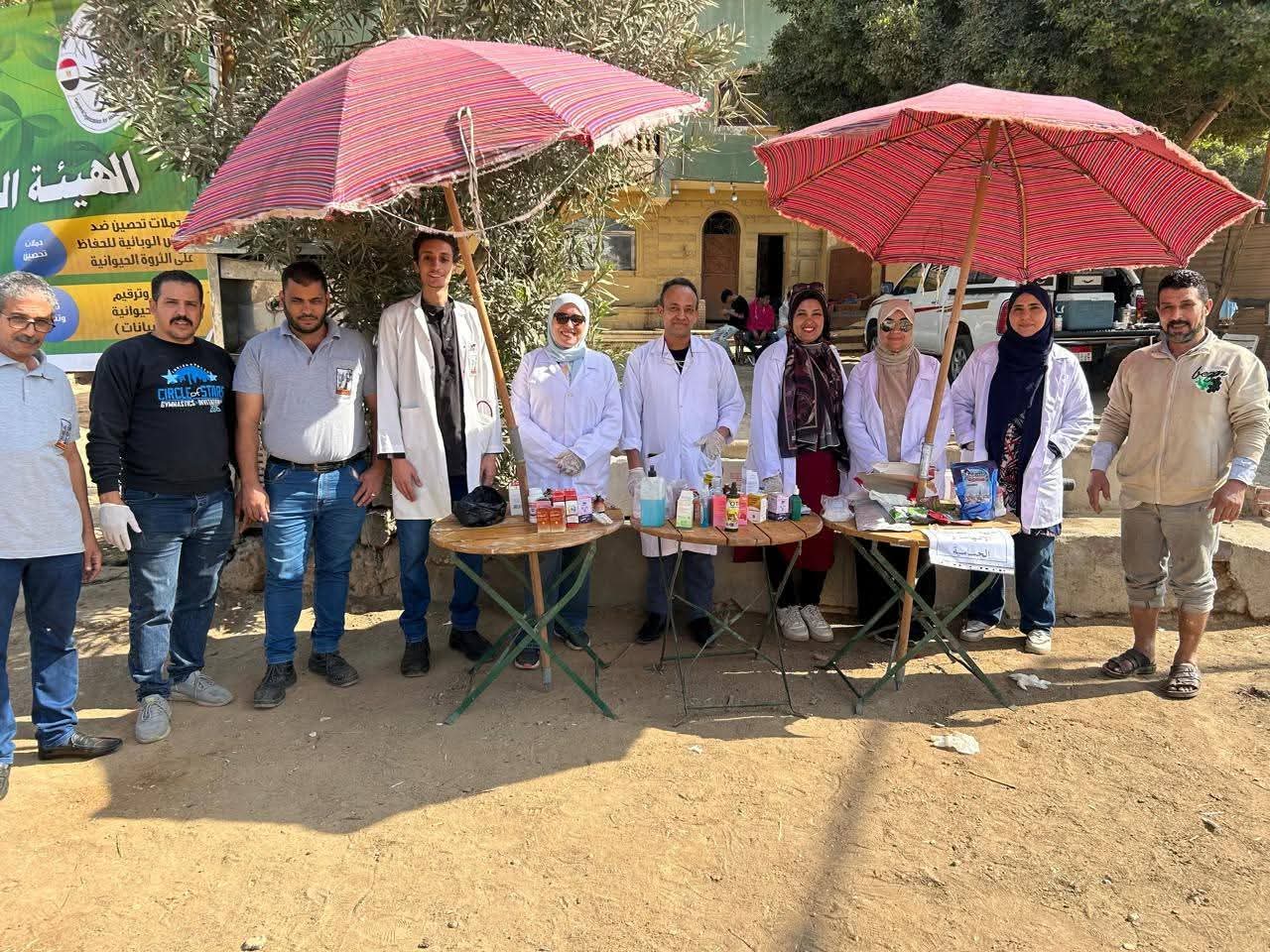 محافظة الجيزة تطلق قوافل بيطرية مجانية لرعاية الخيول والجمال بالمنطقة الأثرية الأهرامات