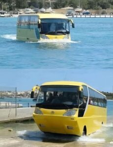 رحلة الأتوبيس البرمائي تكشف سر الجدل الكبير