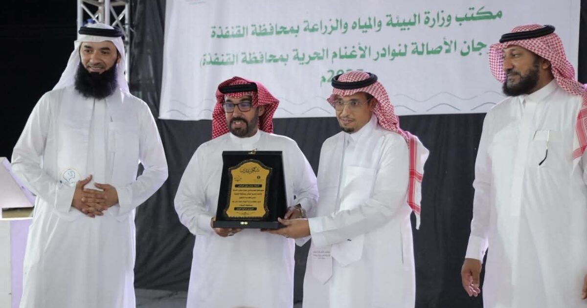 ‏بيئة القنفذة تنظم مهرجان الأصالة لنوادر الأغنام الحريّة بمشاركة واسعة من المربين للأغنام الحرية