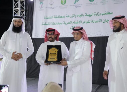 ‏بيئة القنفذة تنظم مهرجان الأصالة لنوادر الأغنام الحريّة بمشاركة واسعة من المربين للأغنام الحرية