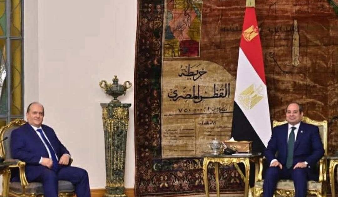 الرئيس السيسى يثمن الدور الإيجابى للجزائر فى مجلس الأمن دفاعاً عن القضايا العربية