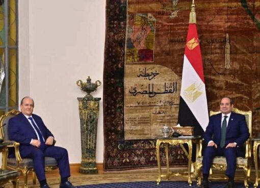 الرئيس السيسى يثمن الدور الإيجابى للجزائر فى مجلس الأمن دفاعاً عن القضايا العربية