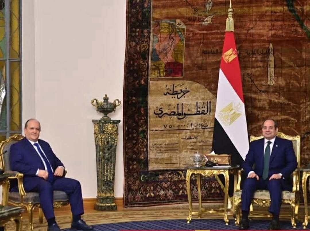 الرئيس السيسى يثمن الدور الإيجابى للجزائر فى مجلس الأمن دفاعاً عن القضايا العربية