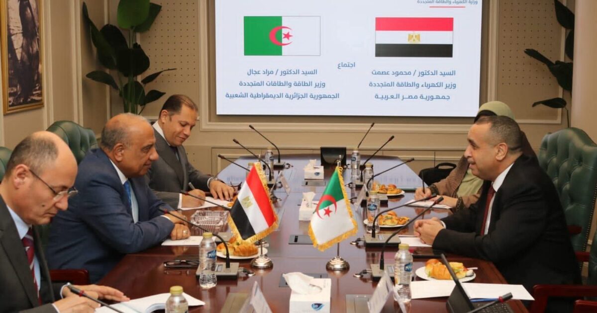مصر والجزائر تتفقان على تعزيز التعاون فى مجالات الكهرباء والطاقة المتجددة