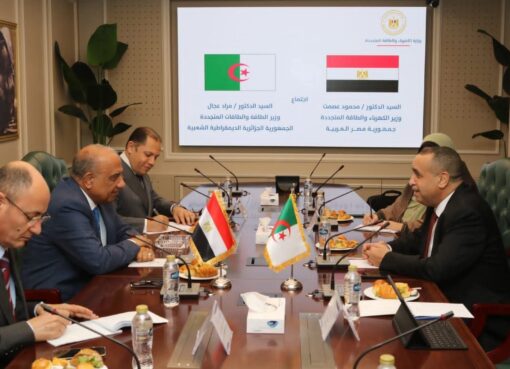 مصر والجزائر تتفقان على تعزيز التعاون فى مجالات الكهرباء والطاقة المتجددة