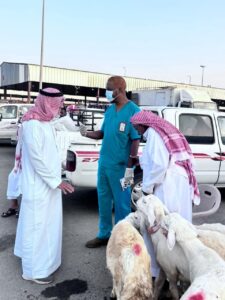 ‏بيئة العرضيات تنفذ ورشة توعوية عن الحمى المالطية (البروسيلا) وطرق الوقاية منها