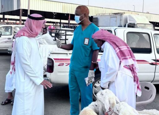 ‏بيئة العرضيات تنفذ ورشة توعوية عن الحمى المالطية (البروسيلا) وطرق الوقاية منها