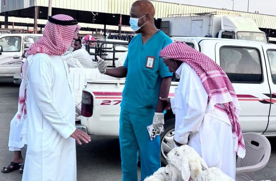 ‏بيئة العرضيات تنفذ ورشة توعوية عن الحمى المالطية (البروسيلا) وطرق الوقاية منها