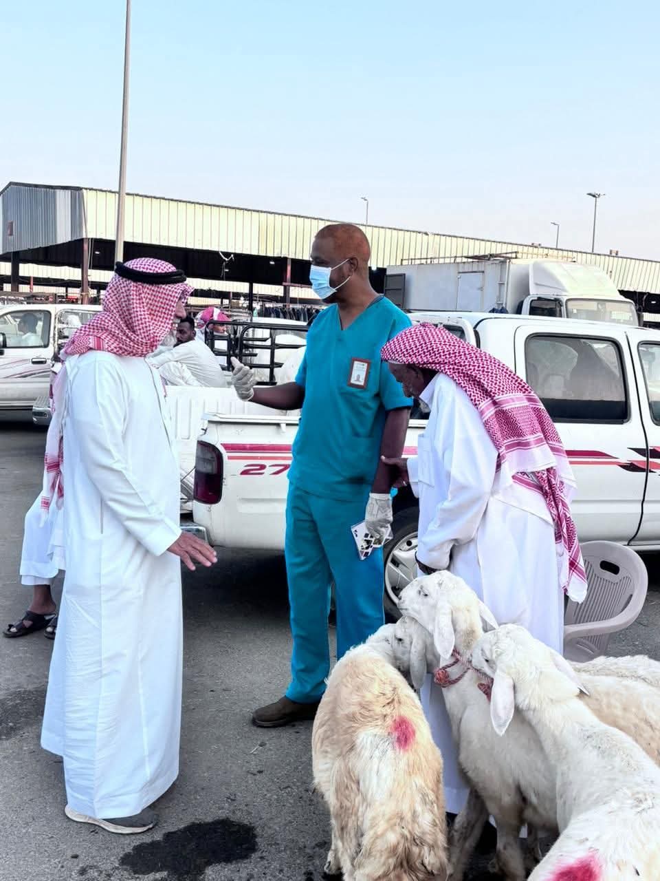 ‏بيئة العرضيات تنفذ ورشة توعوية عن الحمى المالطية (البروسيلا) وطرق الوقاية منها