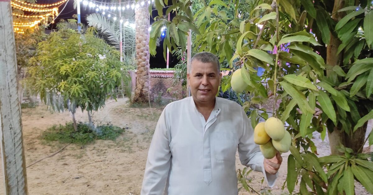 فتعالي الله الملك الحق