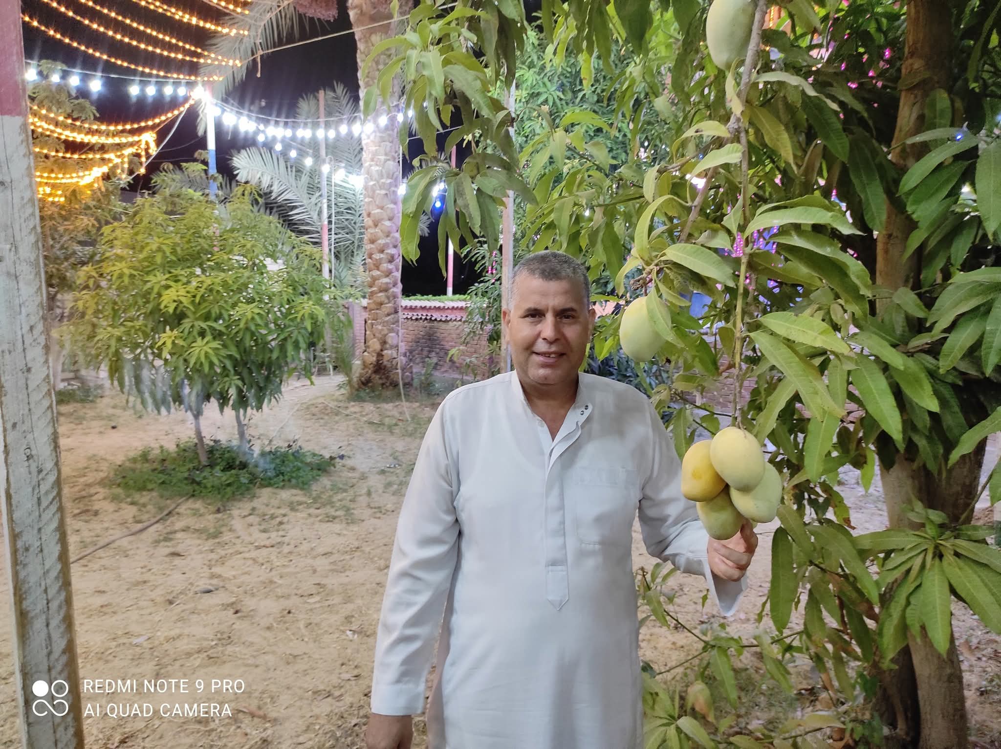 فتعالي الله الملك الحق